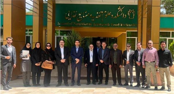 روژین تاک