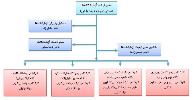 فلوچارت آزمایشگاه 2